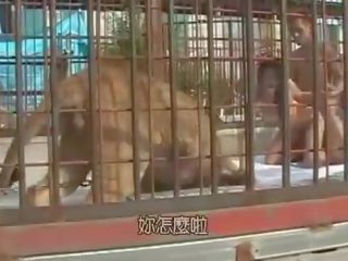 Japoneze zoçkë fucked brenda the lions kafaz